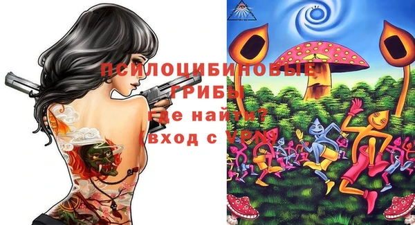 ГАЛЛЮЦИНОГЕННЫЕ ГРИБЫ Абдулино