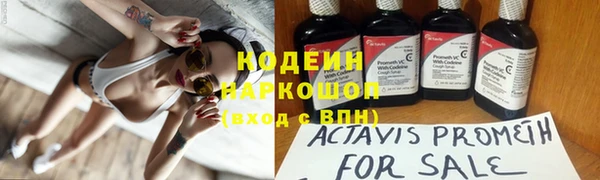 молекула духа Алзамай
