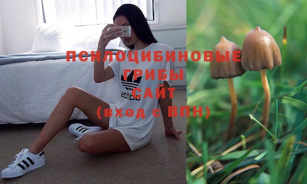 герыч Алексеевка