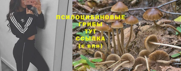 дживик Алексин
