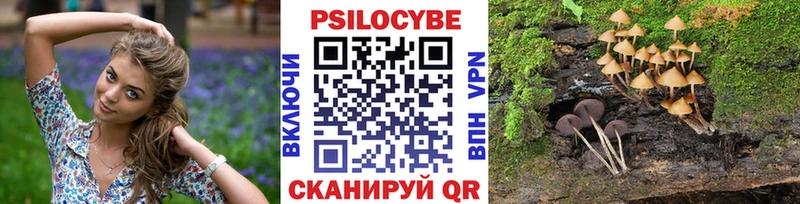 Псилоцибиновые грибы MAGIC MUSHROOMS  где продают наркотики  Куртамыш 
